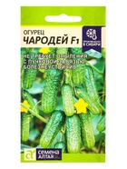 Семена Огурец «Чародей», F1, 5 шт., «Семена Алтая» - Фото 1