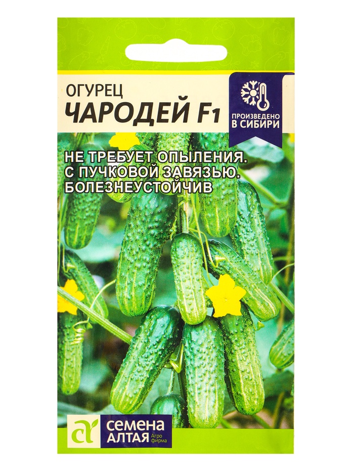 Семена Огурец «Чародей», F1, 5 шт., «Семена Алтая» - Фото 1
