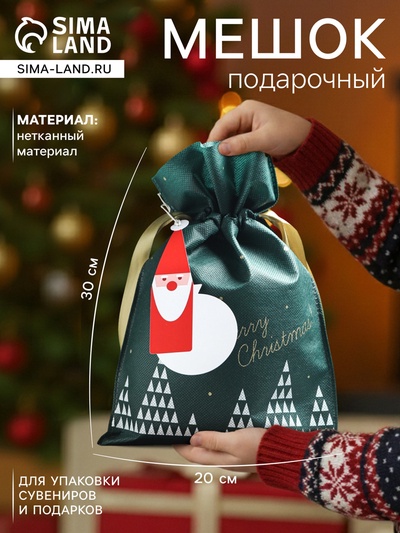 Мешок подарочный новогодний «Волшебный лес» зелёный, 20×30 см