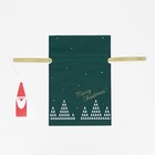 Мешок подарочный «Волшебный лес» зелёный, 20×30 см 6833789 - фото 13494243