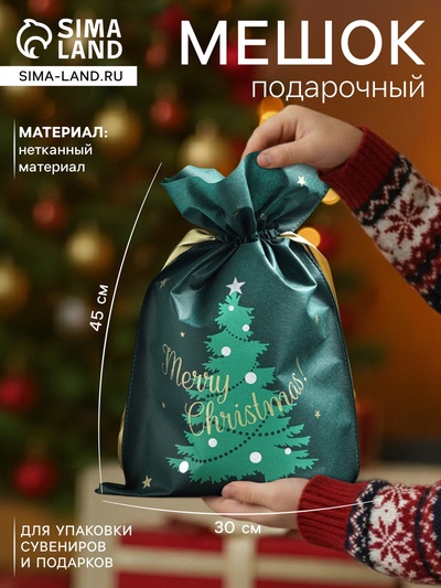 Мешок подарочный новогодний «Новогоднее чудо», 30×45 см