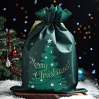 Мешок подарочный "Новогоднее чудо", 40 x 56 см - фото 320247436