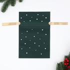 Мешок подарочный "Рождество", 20 x 30 см 6833795