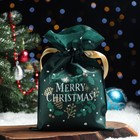 Мешок подарочный "Рождество", 20 x 30 см - фото 9380378