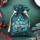 Мешок подарочный "Рождество", 20 x 30 см 6833795