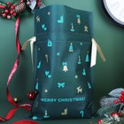 Мешок подарочный "Рождественские мелочи" зелёный, 27 x 40 см - Фото 3