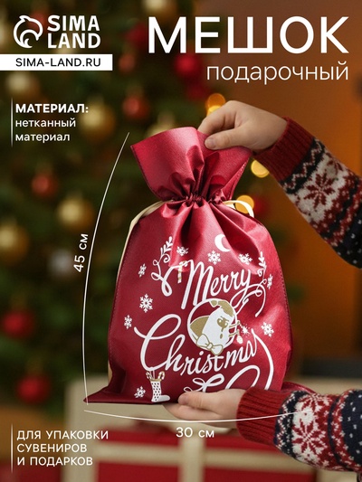 Мешок подарочный новогодний «Время чудес», 30×45 см