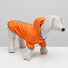 Куртка-ветровка для животных, светоотражающая, XS (ДС 18-20, ОШ 22-24, ОГ 29-30 см), оранжевая 73319 - фото 321301367
