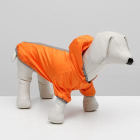 Куртка-ветровка для животных, светоотражающая, S (ДС 20-22, ОШ 24-26, ОГ 32-34 см), оранж