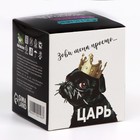 БИО Пакеты "Пижон. Царь" для уборки за собаками, 24х28 см, 10 мкм, 4 х 20 шт, в коробке - фото 9575673