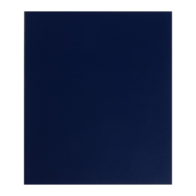 Альбом для монет «Стандарт. Optima», 230×270 мм, без листов, синий