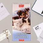 Календарь перекидной на ригеле "Щенки и котята" 2022 год, 16,5х33,6 см - Фото 1
