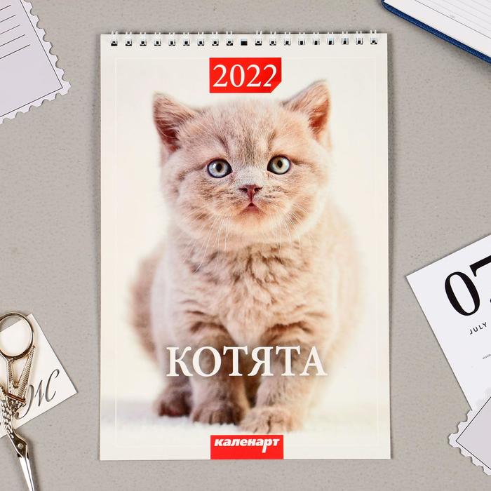 Календарь на пружине без ригеля "Котята" 17х25 см, 2022 год - Фото 1