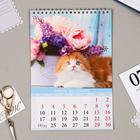 Календарь на пружине без ригеля "Котята" 17х25 см, 2022 год - Фото 2