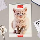 Календарь на пружине без ригеля "Котята" 17х25 см, 2022 год - Фото 3