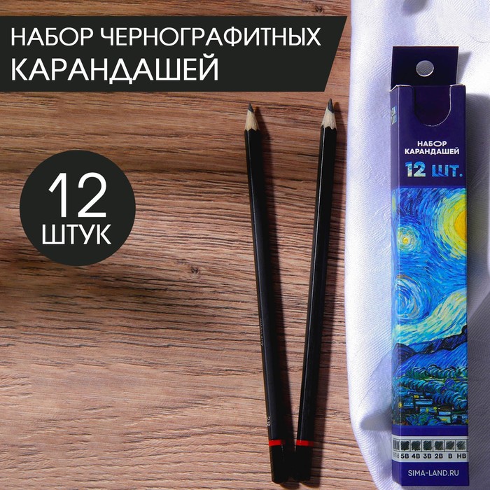Набор чернографитных карандашей 12 шт Van Gogh - Фото 1