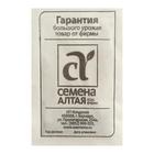 Семена Патиссон "Пятачок", Сем. Алт, б/п, 1 г - Фото 2