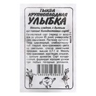 Семена Тыква "Улыбка", Сем. Алт, б/п, 2 г - Фото 1
