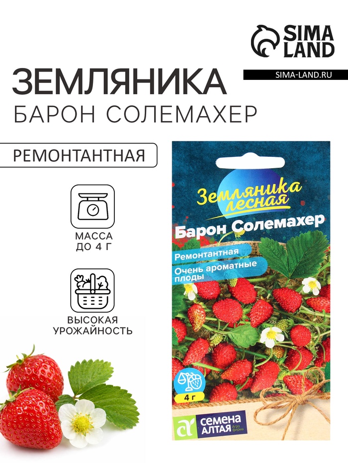 Семена Земляника «Барон Солемахер», ремонтантная, 0.03 г, «Семена Алтая» - Фото 1