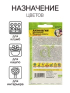 Семена цветов Аквилегия "Махровые гиганты", 0,1 г - Фото 3