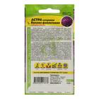 Семена цветов Астра "Баллон", фиолетовая, Сем. Алт, ц/п, 0,05 г - Фото 2