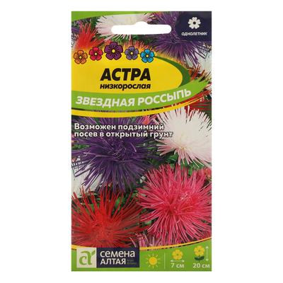 Астра – описание, характеристики и разнообразие видов этого удивительно красивого растения Астра: описание, характеристики и виды растений