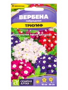 Семена цветов Вербена «Триумф», гибридная, «Семена Алтая» 0.05 г - Фото 1