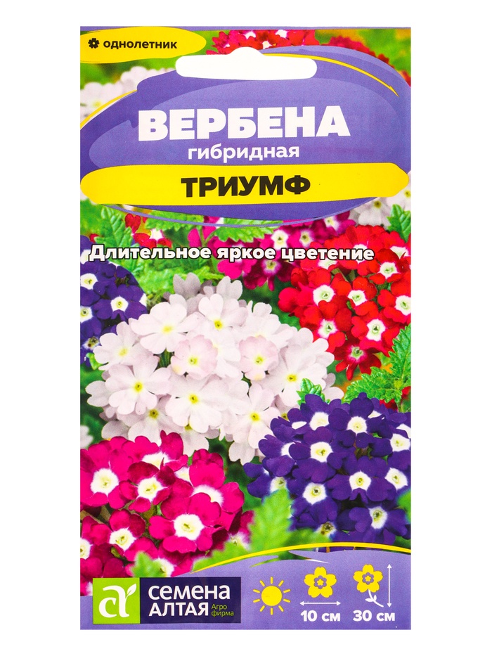 Семена цветов Вербена «Триумф», гибридная, «Семена Алтая» 0.05 г - Фото 1