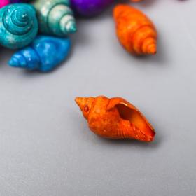 

Ракушки декоративные "Nassa Dyed Asstd" 100 г ± 5 г 0.6-1.2 см