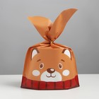 Мешок подарочный «Мишка», 21 × 16.5 см - фото 318612971