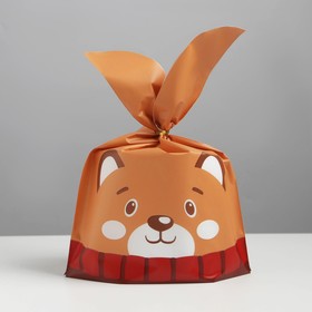 Мешок подарочный «Мишка», 21 × 33 см Ош