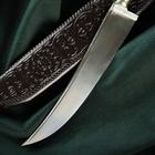 Нож Пчак Шархон - эбонит, ёрма, гарда, навершие мельхиор, 17 см - Фото 4