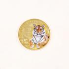 Монета тигр в конверте "Богатства", диам. 4 см - Фото 5