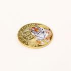 Монета тигр в конверте "Богатства", диам. 4 см - Фото 6