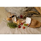 Ланч - бокс, коробка для бенто-торта и бургера, 450 мл, 15.2×15.4×8.8 см, сахарный тростник - Фото 6