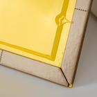 Клеевая ловушка Nadzor для грызунов «Книжка», 1 шт - Фото 5