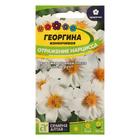 Семена цветов Георгина "Отражение Нарцисса", Сем. Алт, ц/п, 0,2 г - Фото 1