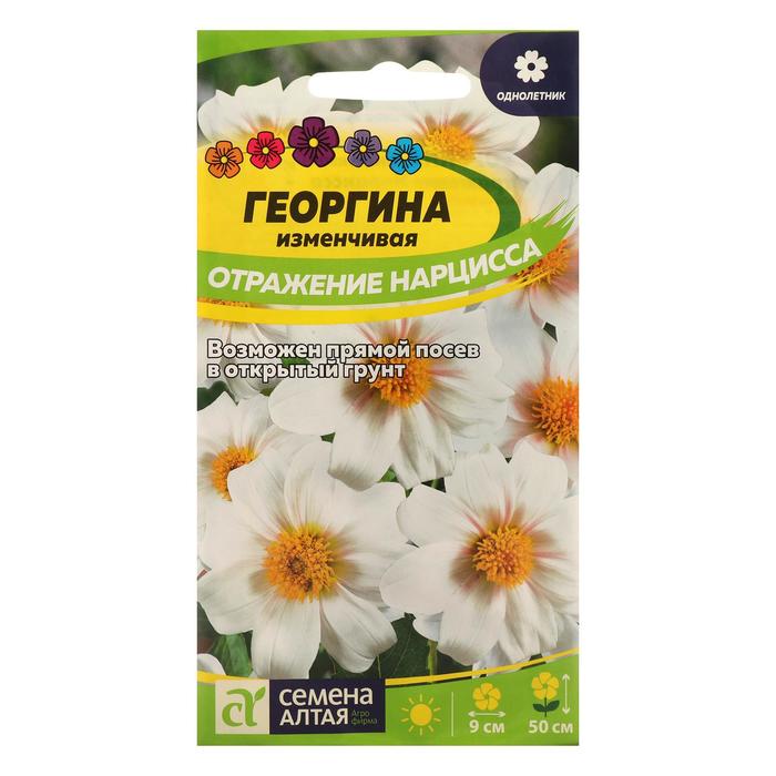 Семена цветов Георгина "Отражение Нарцисса", Сем. Алт, ц/п, 0,2 г - Фото 1