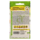 Семена цветов Георгина "Отражение Нарцисса", Сем. Алт, ц/п, 0,2 г - Фото 2