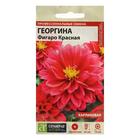 Семена цветов Георгина "Фигаро", красная, махровая, Сем. Алт, ц/п, 5 шт - Фото 1