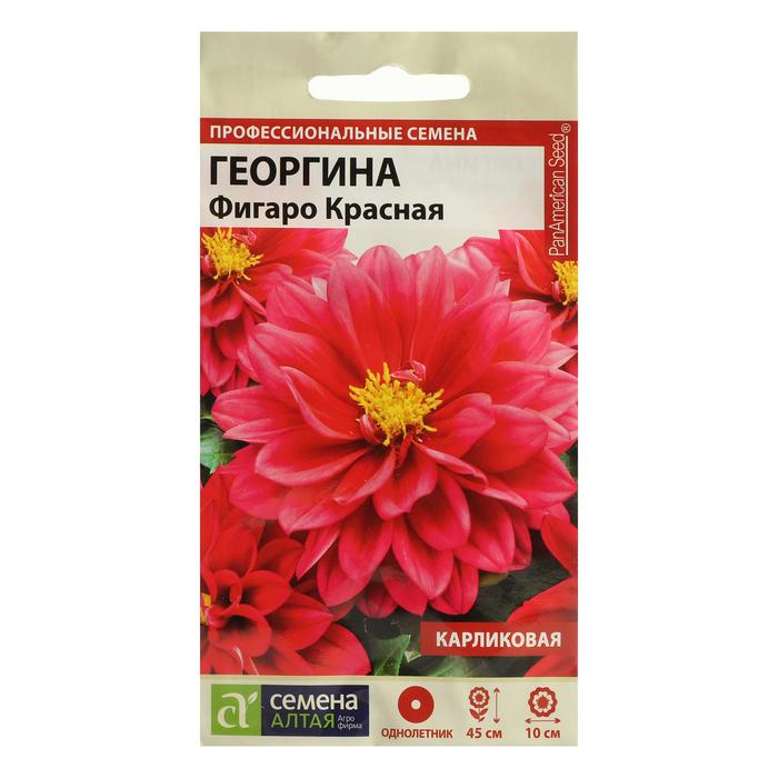 Семена цветов Георгина "Фигаро", красная, махровая, Сем. Алт, ц/п, 5 шт - Фото 1
