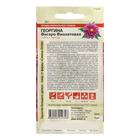 Семена цветов Георгина "Фигаро", фиолетовая, махровая, Сем. Алт, ц/п, 5 шт - Фото 2