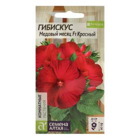 Семена цветов Гибискус 'Медовый месяц', красный, 3 шт.
