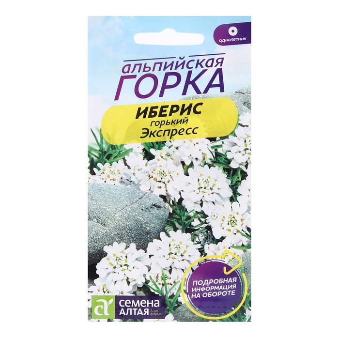 Семена цветов Иберис гиацинтовый "Экспресс", ц/п, 0,1 г - Фото 1