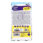 Семена цветов Иберис гиацинтовый "Экспресс", ц/п, 0,1 г - Фото 2