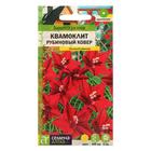 Семена цветов Квамоклит "Рубиновый ковер", перистый, Сем. Алт, ц/п, 0,2 г - Фото 1