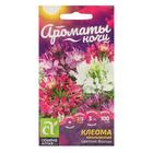 Семена цветов Клеома "Цветной фонтан", Сем. Алт, ц/п, 0,1 г - Фото 1