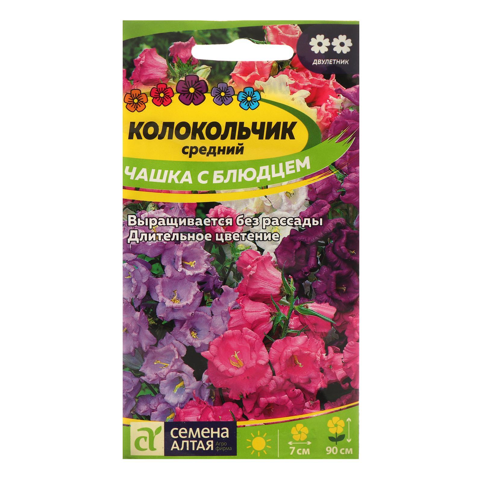 Семена цветов Колокольчик "Чашка с блюдцем", ц/п, 0,1 г (7349845 ...
