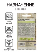 Семена цветов Пеларгония «Дансер Вайт», зональная, 3 шт., «Семена Алтая» - Фото 3