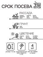 Семена цветов Пеларгония "Дансер Дип Роуз", зональная, Сем. Алт, ц/п, 3 шт - Фото 2